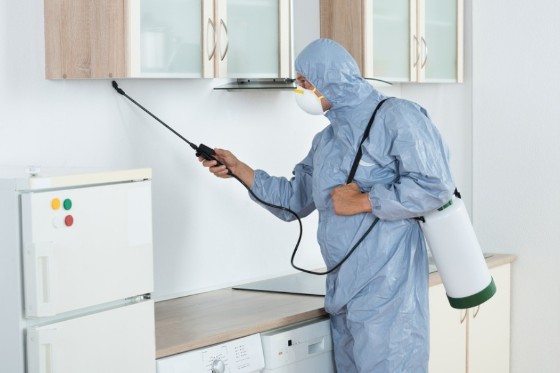 Pest Control in Apple Valley CA