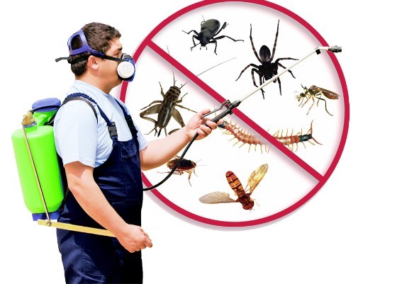 Pest Control in Bethesda MD