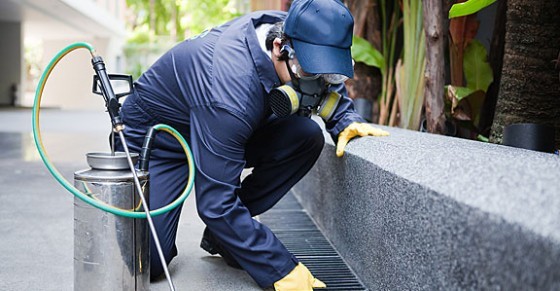 Pest Control in Brentwood CA
