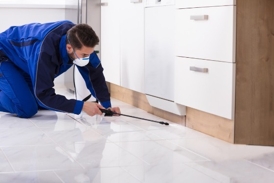Pest Control in Broomfield CO