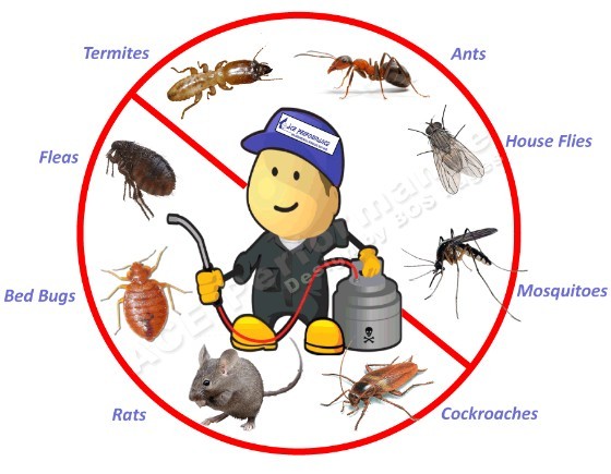 Pest Control in Canyon Country CA