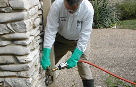 Pest Control in Casa Grande AZ