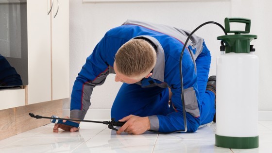 Pest Control in Frederick MD