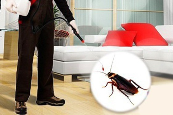 Pest Control in National City CA