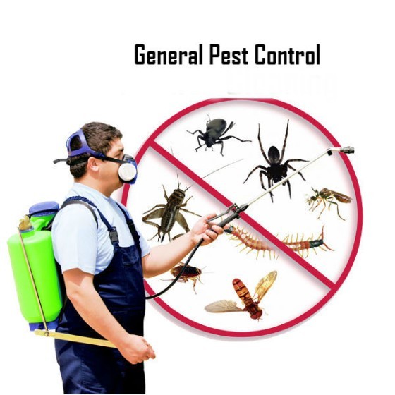 Pest Control in Santa Maria CA