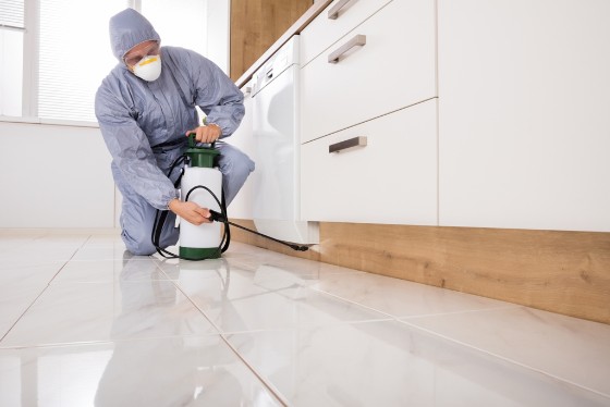 Pest Control in Victorville CA